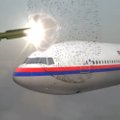 Paskelbta galutinė ataskaita: kas iš tiesų Ukrainoje nutiko Malaizijos lėktuvui