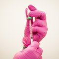Vilčių nugalėti koronavirusą teikia jau seniai sukurta vakcina
