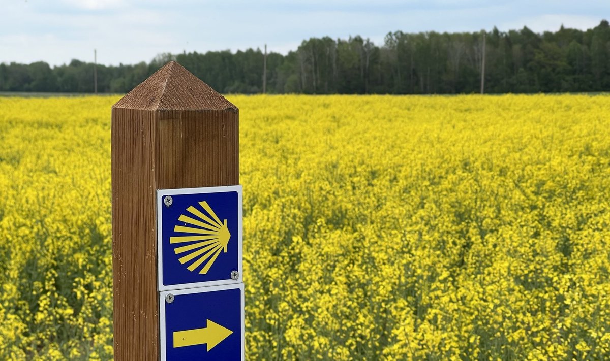 Šv. Jokūbo kelias Vakarų Lietuvoje 