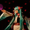 „nowJapan” festivalyje - tradicinė ir pop kultūra