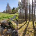 Unikali Lietuvos vieta, kurią verta aplankyti: magiška sengirė ir paslaptingos upės