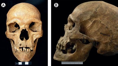 Žmogaus skeletas. S. Tereso/Australian National University nuotr.