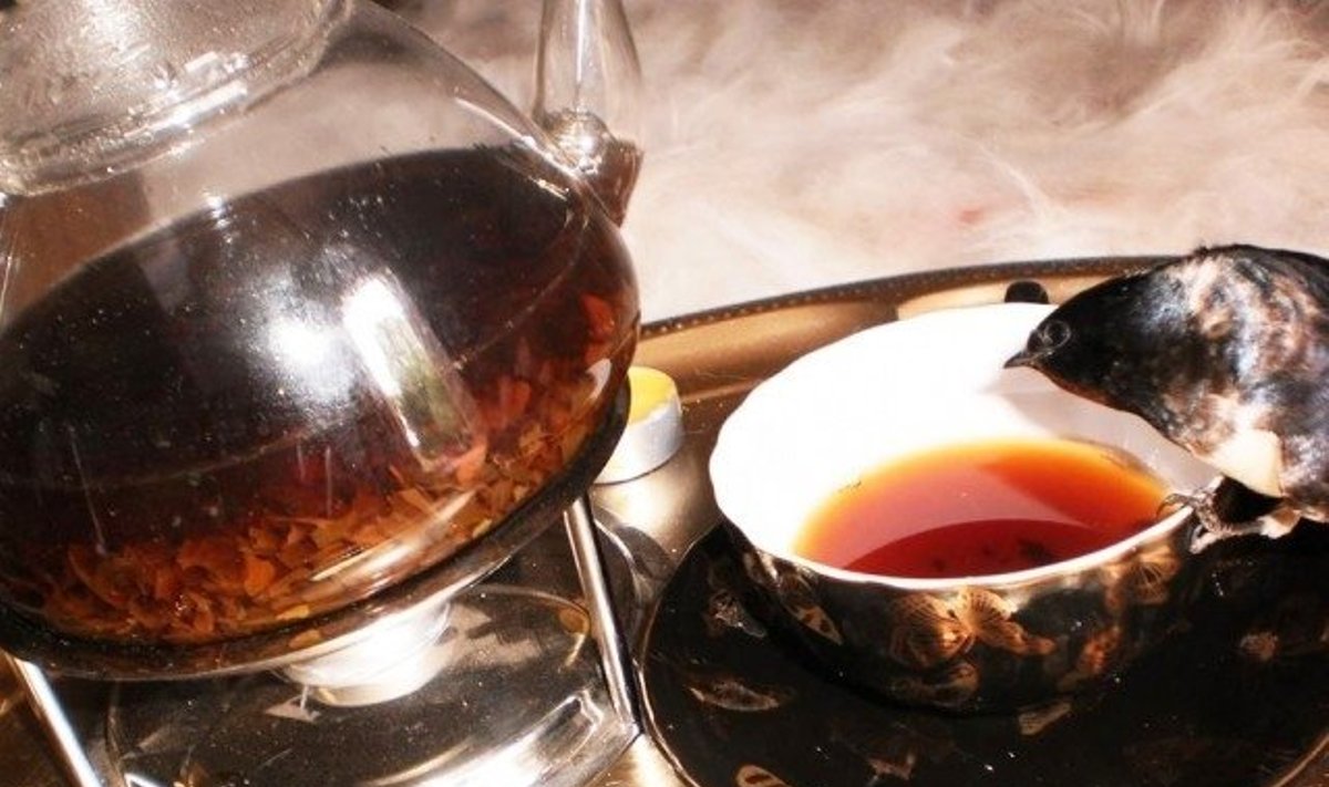 Kuosių gyventoja užfiksavo kregždę, geriančią arbatą/ "Gimtojo Rokiškio" nuotr.