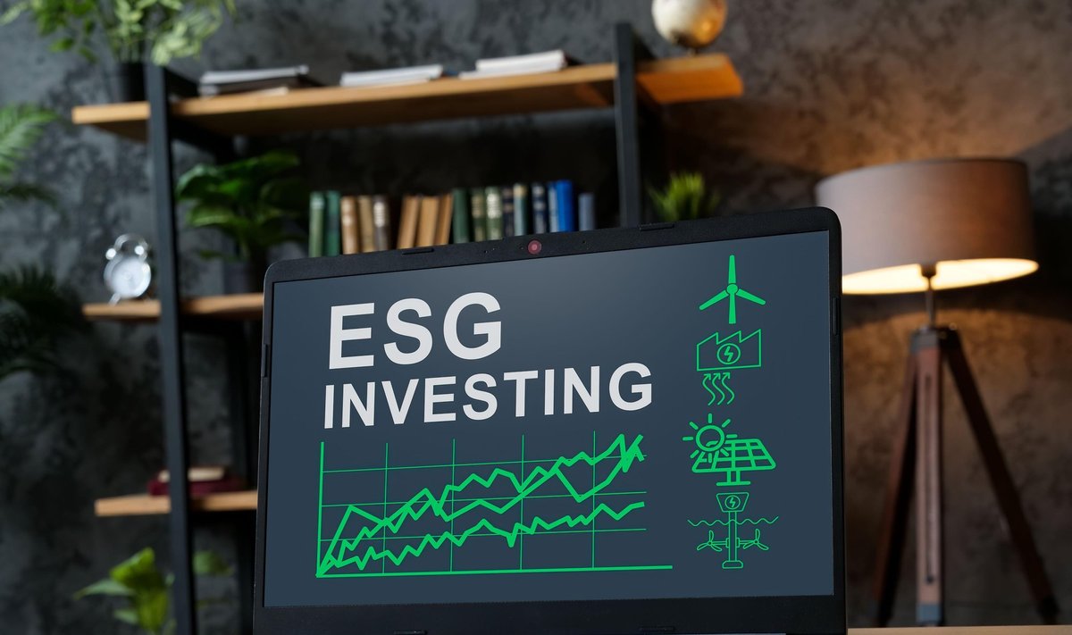 ESG investavimas