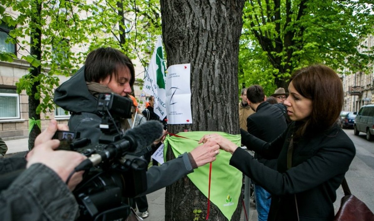 Žaliųjų protesto akcija prieš drastišką medžių kirtimą Vilniuje