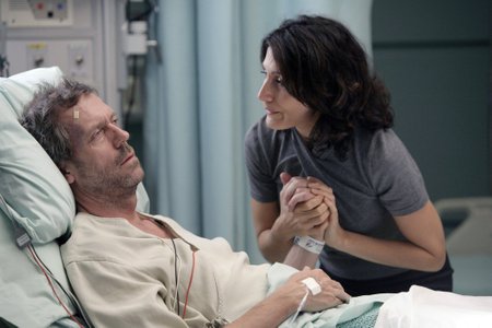Hugh Laurie, Lisa Edelstein seriale "Daktaras Hausas"