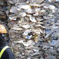 rPET revoliucija Europoje – ko galime tikėtis plastiko atliekų tvarkymo ir perdirbimo srityse artimiausioje ateityje