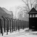 "Варшавский концлагерь", которого не было: в "Википедии" 15 лет существовал фейк о выдуманном нацистском лагере смерти