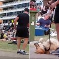 Šuns spektaklis parke sukėlė juoko bangą: išeiti nenorintis šuo nejudėjo iš vietos