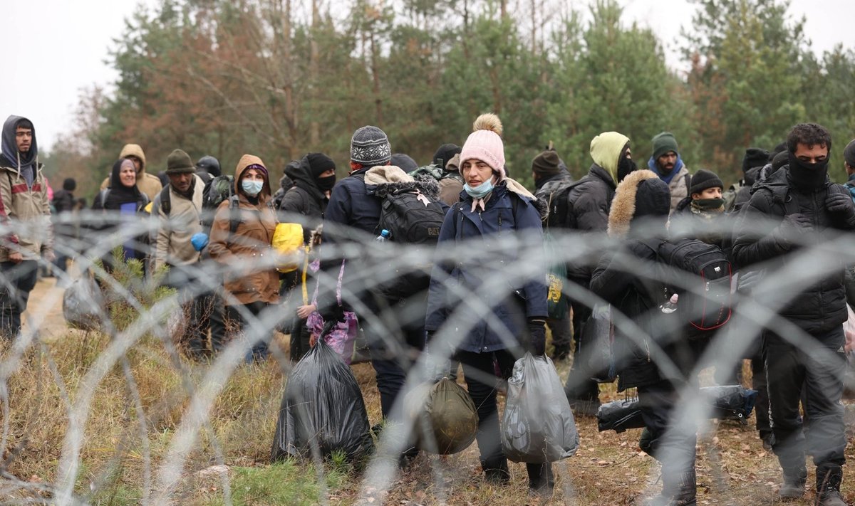 Migrantai iš Baltarusijos Lenkijos pasienyje
