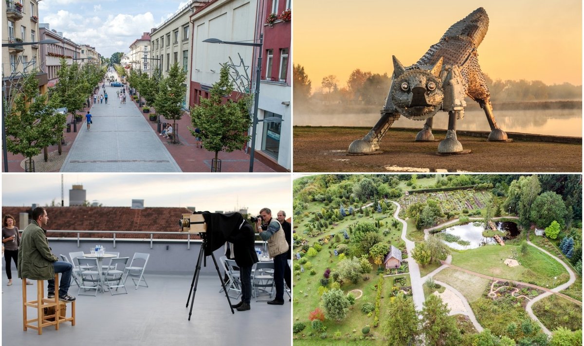 Šiauliai