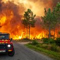 Strasbūre – išskirtinė byla: dėl gaisrų Portugalijoje kaltina ir Lietuvą