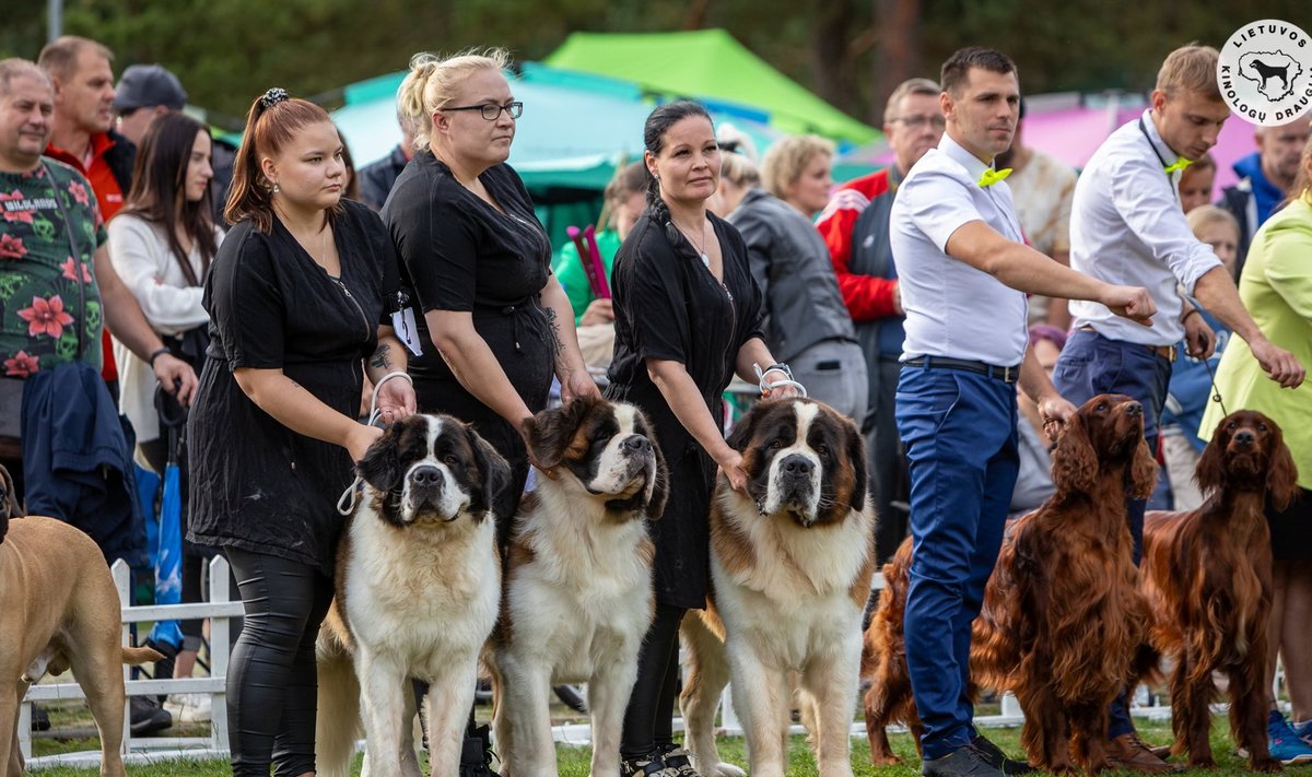 Palangoje finišavo tris dienas trukusios Lietuvos kinologų draugijos tarptautinės šunų parodos, Entuziastas media nuotr.