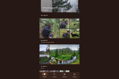 Google Photos