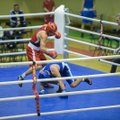 D. Pozniako bokso turnyre dėl aukso kovos du lietuviai