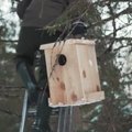 Kaip pasigaminti ir tinkamai pakabinti inkilą sugrįžtantiems paukščiams