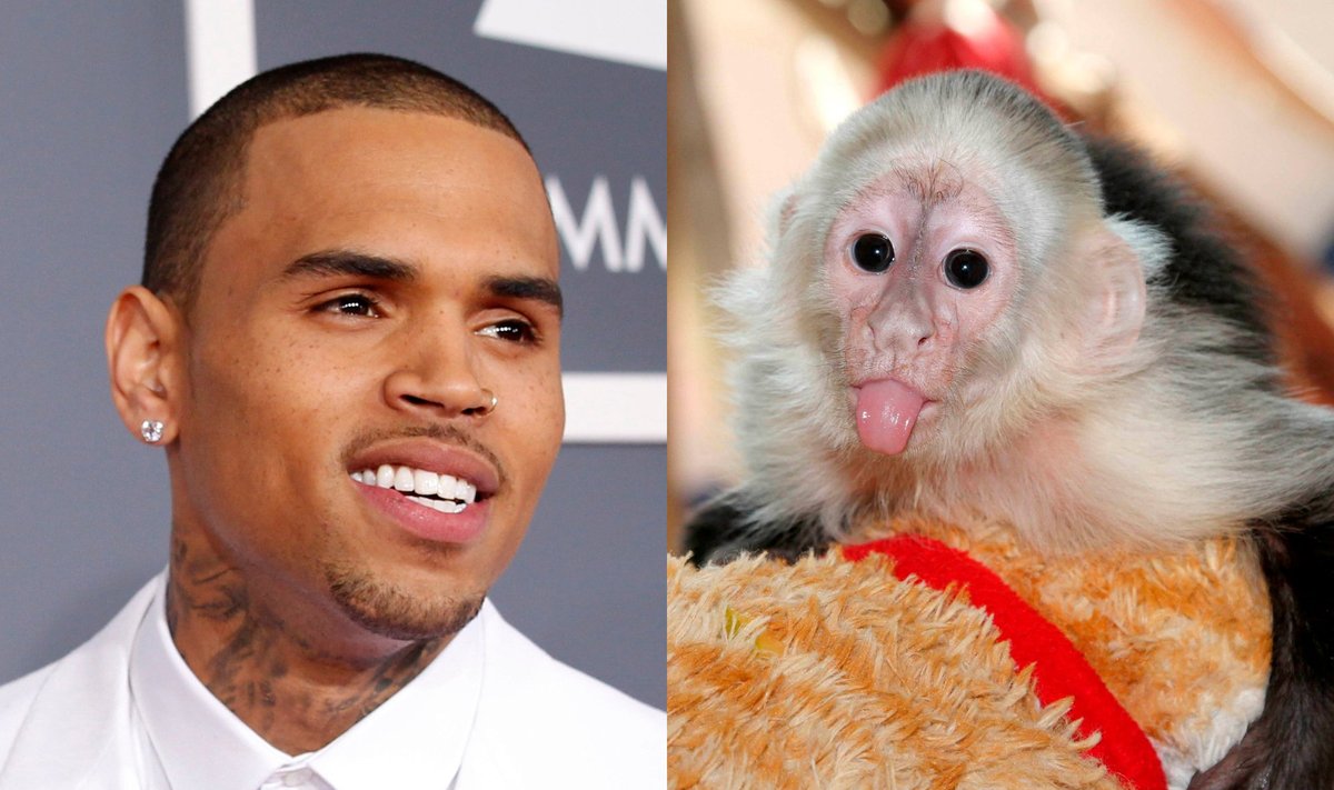 Chris Brown ir jo augintinė