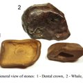 Rusijos mokslininkai 25 metus patyliukais tyrė Tunguskos meteorito fragmentus?
