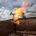 Nepaisant žemų naftos kainų, OPEC nemažins gavybos kvotų