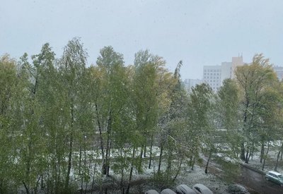 Sniegas Vilniuje 