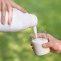 Žalias pienas gali pasodinti į invalido vežimėlį