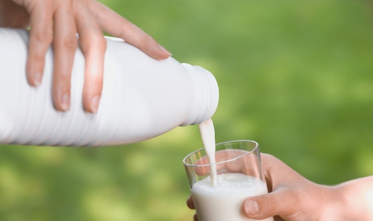Gerdami nepasterizuotą pieną galite prisidaryti bėdos