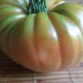 Panevėžietės šiltnamyje – pomidoras milžinas