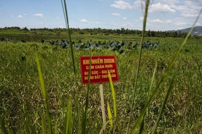 Perspėjimas apie herbicidais nupurkštą lauką 