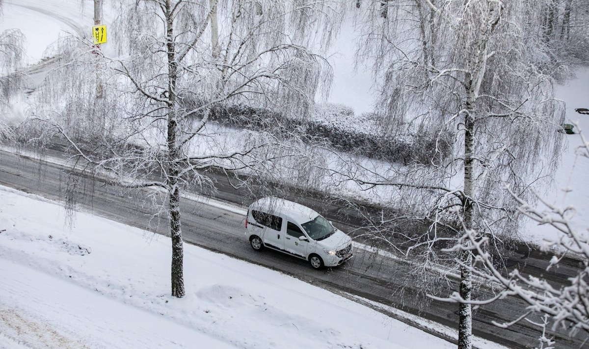 Sniegas Vilniuje