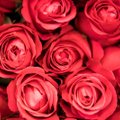 Ką gėlių pardavėjai, kurių kioskai uždaryti, ruošiasi šv. Valentino dienai