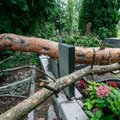 Шквальный ветер и ливень нанесли ущерб каунасскому кладбищу