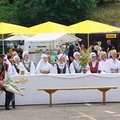 Folkloro festivalis „Saulelė raudona“ ir regioninė dainų šventė užbūrė Plungės lankytojus
