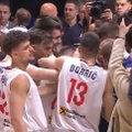 Serbų triumfas: bilietą į pasaulio čempionatą garantavo pergalė prieš Didžiosios Britanijos rinktinę