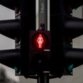 Lithuania drops nine places in gender equality index