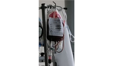 Kraujo donorystė