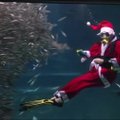 Povandeniniai šou jūrų muziejuje Seule pradėjo Kalėdų sezoną