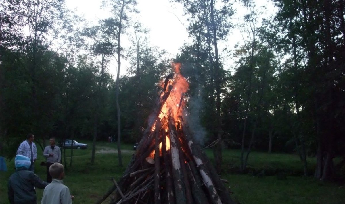 Joninės 2011 Alsėdžiuose, DELFI skaitytojos Aurelijos nuotr.