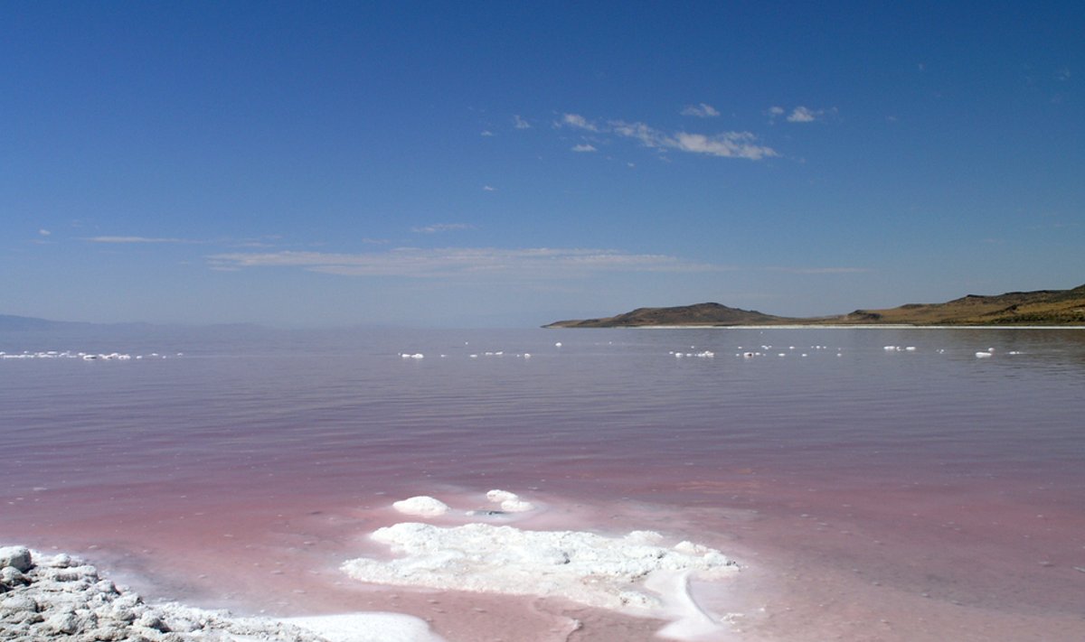 Didžiojo Druskos ežero tyrimai. Shutterstock nuotr.