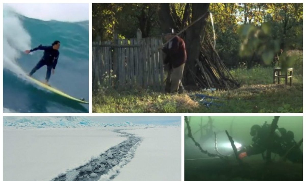Stopkadrai iš filmų "Banglentininkai 3D", "Pūsk lapą", "Žiema" ir "Ežerų dunge"