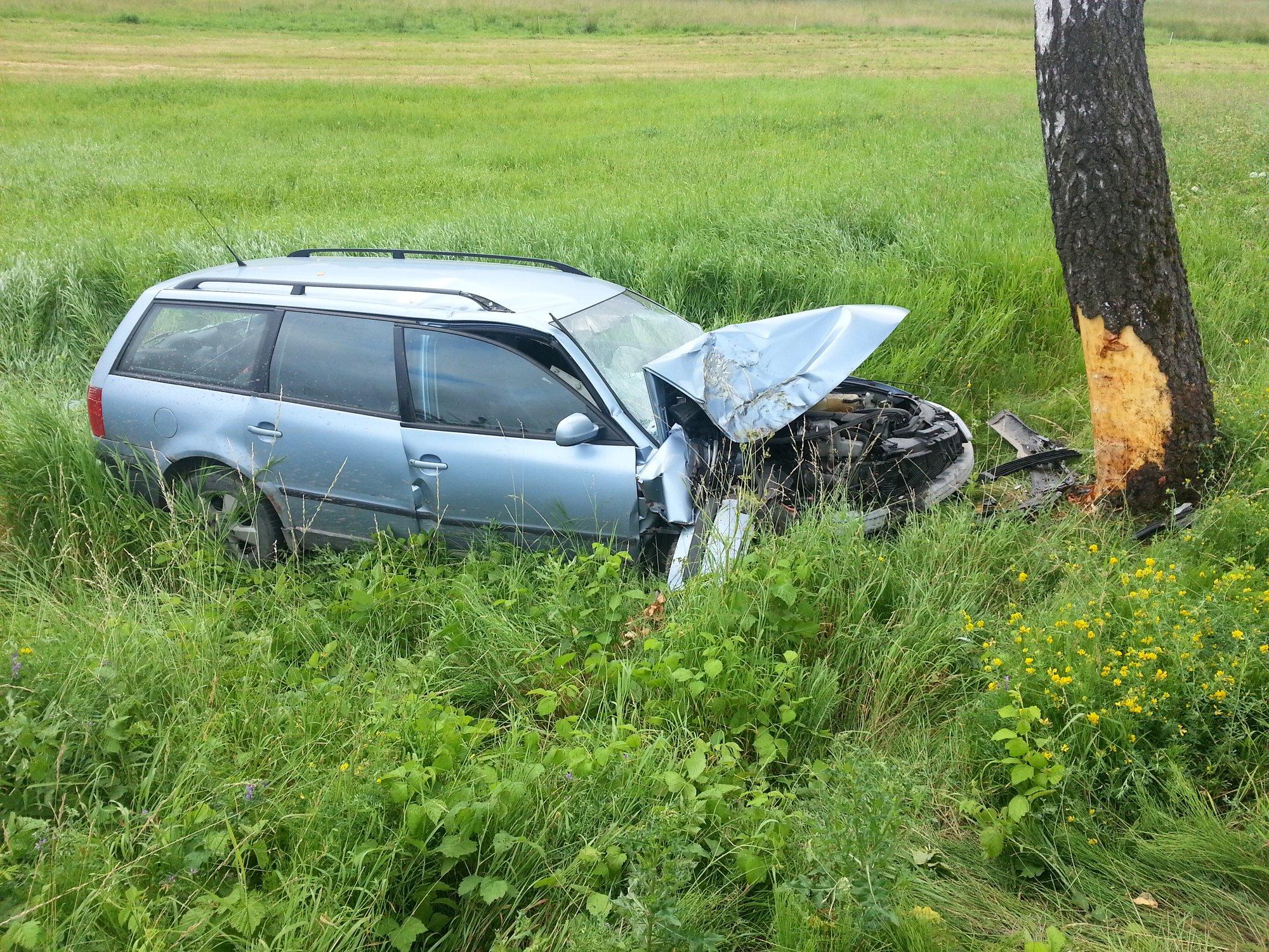 Пьяный водитель VW Passat умудрился врезаться в единственное придорожное  дерево - Delfi RU