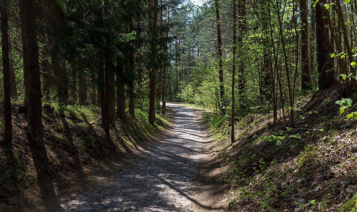 Šilėnų pažintinis takas