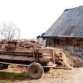 Ekologinės žemdirbystės atstovas: Lietuvos žemės ūkyje tragiškai trūksta mėšlo