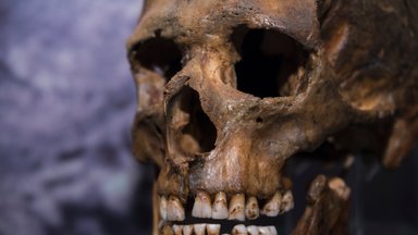 В понедельник в Вильнюсе были обнаружены человеческие кости