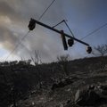 Per miškų gaisrus Graikijoje žuvo 18 migrantų