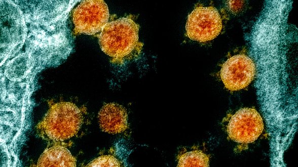 Coronavirus: 724 cases confirmed in last 3 days