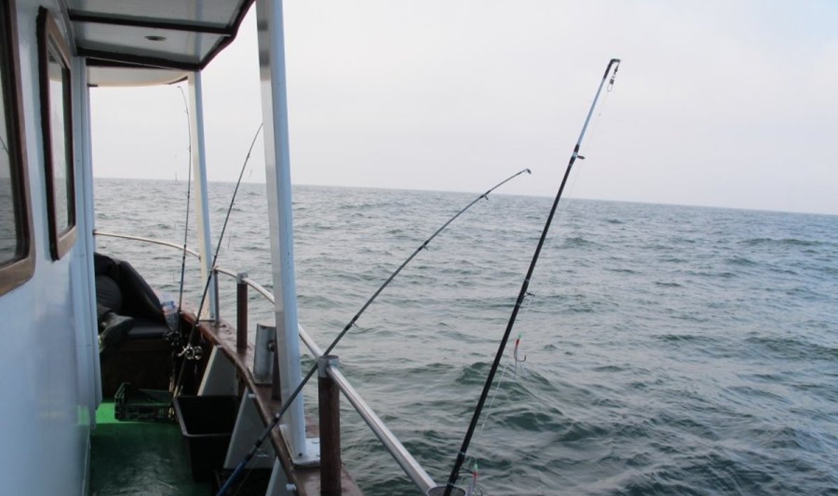 Baltijos jūros žvejai siekia taisyklių pakeitimo