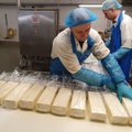 Lietuviško sūrio gaminimo paslaptys: jo kvapas tvyro ir Italijos picerijose