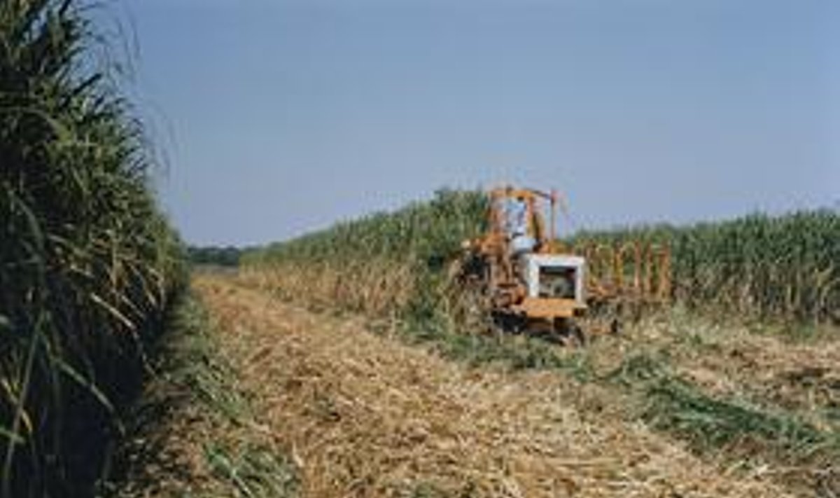traktorius žemės ūkis