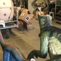 Australijos muziejuje vandalai nupjovė galvas trims dinozaurų muliažams