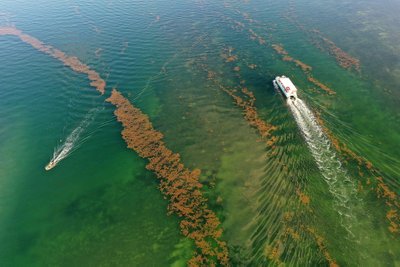 Vandens telkinius tyrinėjantys palydovai renka duomenis apie ekosistemų būklę. NASA/ESA/Scanpix nuotr.
